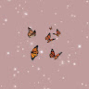 Meet your Posher, Julianne